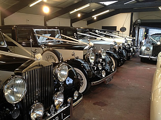 Our Showroom